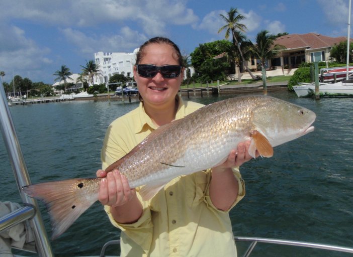 4 Hour Inshore Fishing Tour 3 Anglers (8am-12)